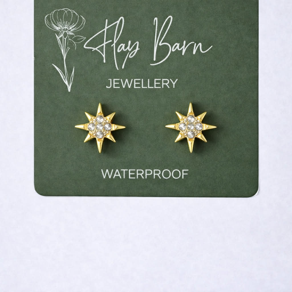 Tarnish Resistant Starburst Studs